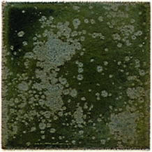 B9575 ZWARTGOUD 200 ML