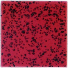 B9605 GESTIPPELD ROOD 200 ML