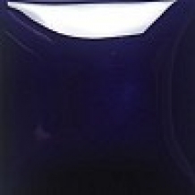 FN-019 DARK BLUE 473ML