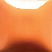 FN-040 PUMPKIN 473ML