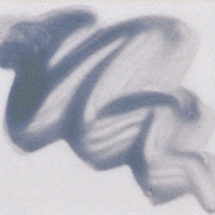 4008 NEUTRALGRAU 30ML