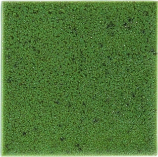 B 9461 MOSGROEN ZIJDEGLANS 200 ML