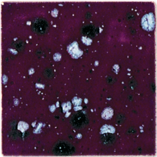 B9508 KERSTSTER GLANZEND 200 ML