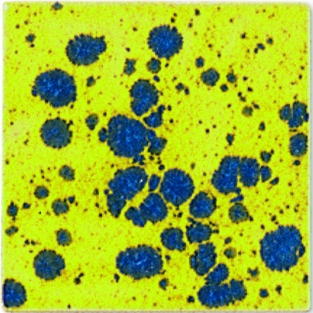 B9515 STIEFMOEDERTJE GLANZEND 200 ML