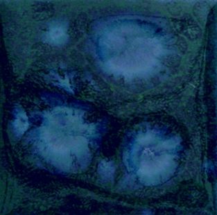 B9520 WATERVAL ZIJDEGLANS 200 ML