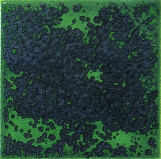 B9577 REPTIEL 200 ML