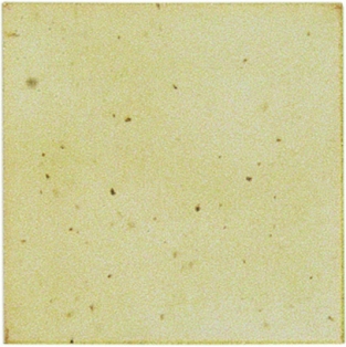 B9578 VANILLE ZIJDEMAT 200 ML