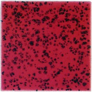 B9605 GESTIPPELD ROOD 200 ML