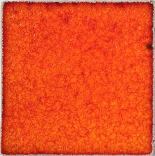 B9606 LAVAROOD GLANZEND 200 ML