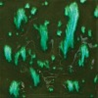 WOODLAND FANTASY 118ML