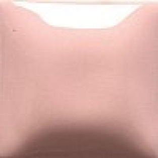 FN-005 PINK 473ML