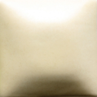 FN-302 IVORY CREAM MAT 473ML