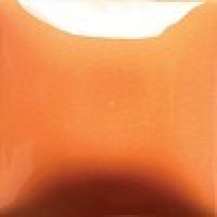 FN-040 PUMPKIN 473ML