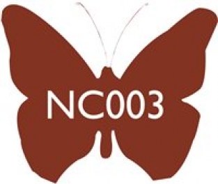 NC003 WALNOOT 100 G