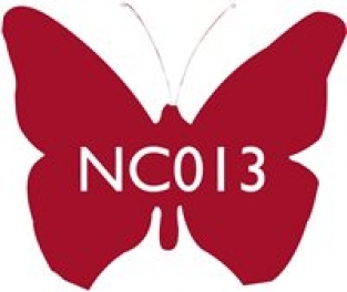 NC013 FRAMBOOS 100 G