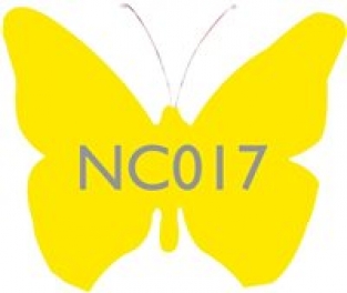 NC017 CITROENSCHIL 100 G