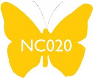 NC020 ZONNEGEEL 100 G