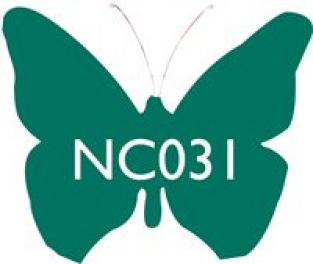 NC031 BRITS RACING GROEN 100 G