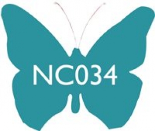 NC034 TURQUOISE 100 G