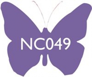 NC049 AMETHYST 100 G