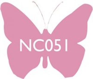 NC051 LOLLIPOP 100 G