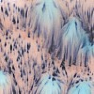 NORTHERN LIGHTS 118ml