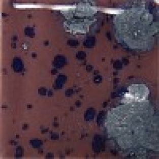 BERRYBERRY PIE 118ml